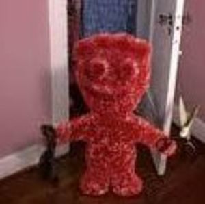 Meet your Posher, Hai